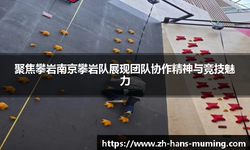 聚焦攀岩南京攀岩队展现团队协作精神与竞技魅力